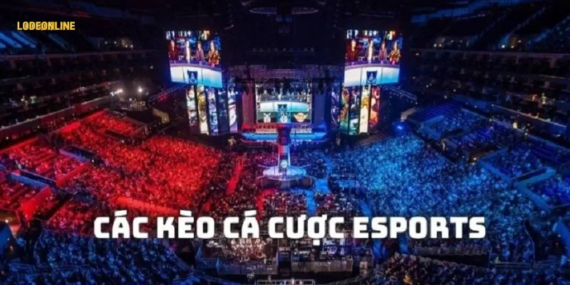 Chiến thuật chọn kèo esports hôm nay hiệu quả